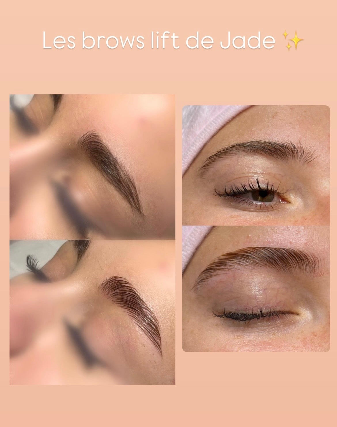 Pack 4 en 1 air brush brows,brows lift,henna brows et restructuration + kit inclus sur place (2 jours)